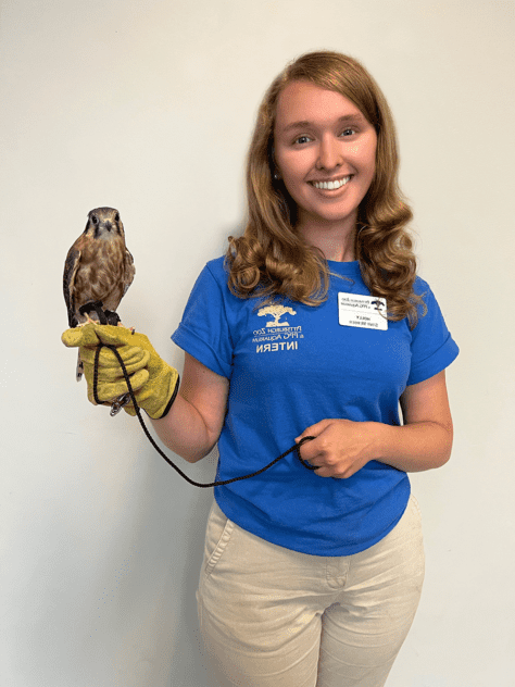 即将升入高年级的霍莉·特罗施站在蓝色的匹兹堡动物园 & PPG水族馆衬衫，抱着一只小猫头鹰.